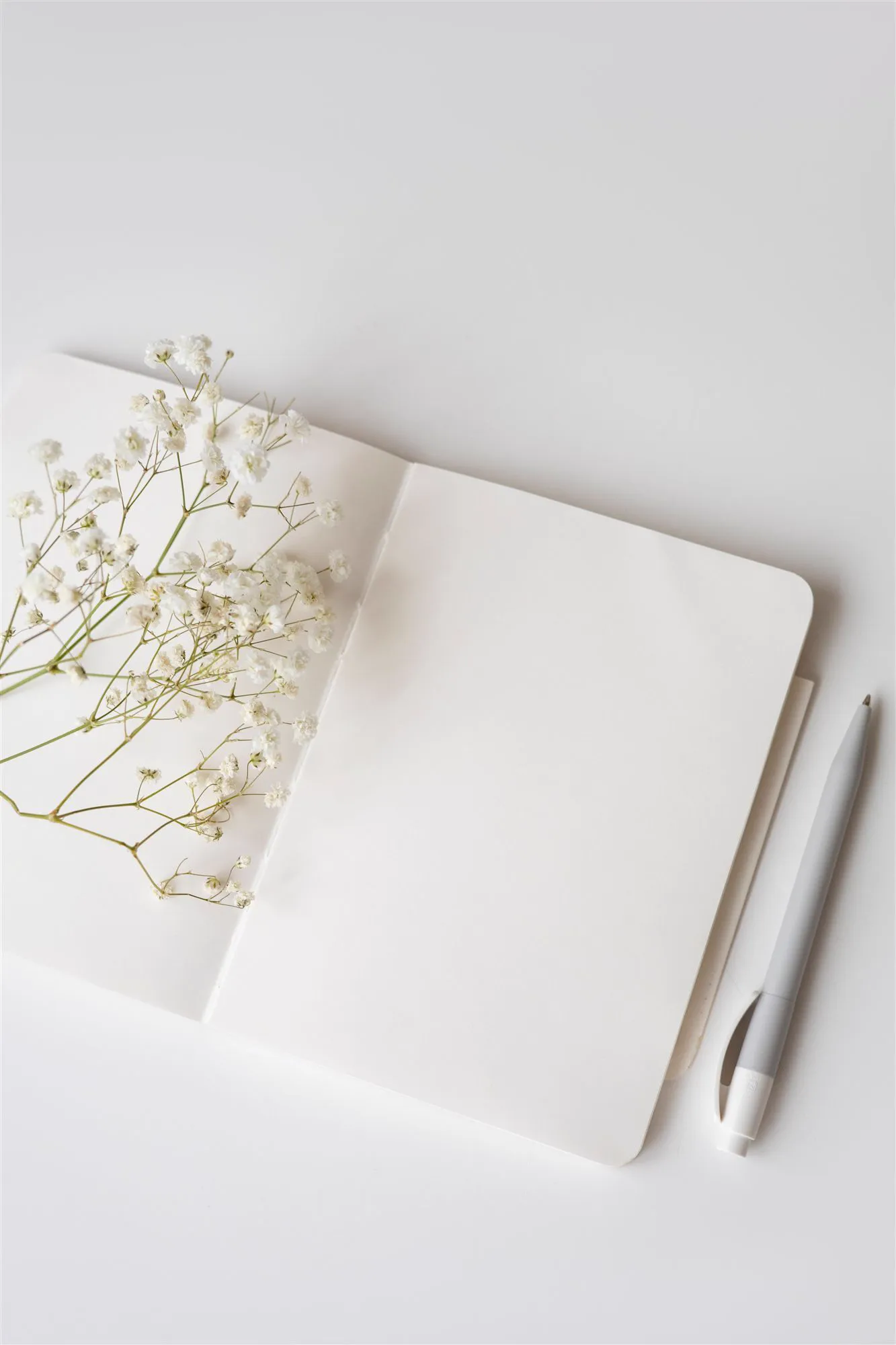 An open notebook in soft light