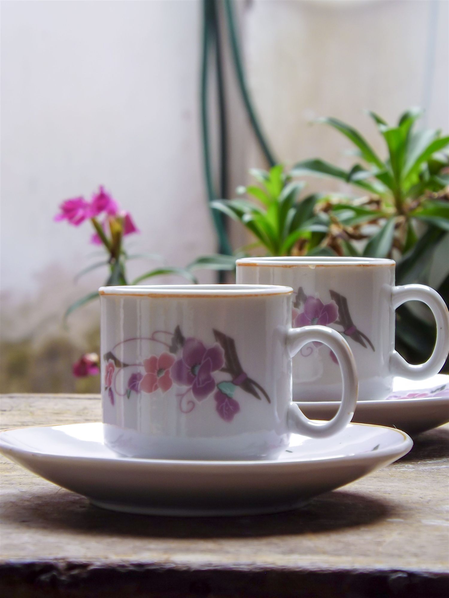 Two cups on a sunlit table